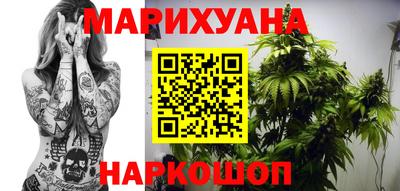 сатива Бузулук