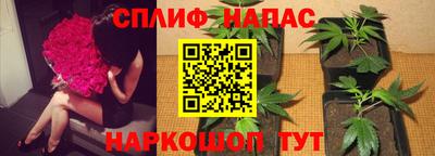 соль ск Будённовск
