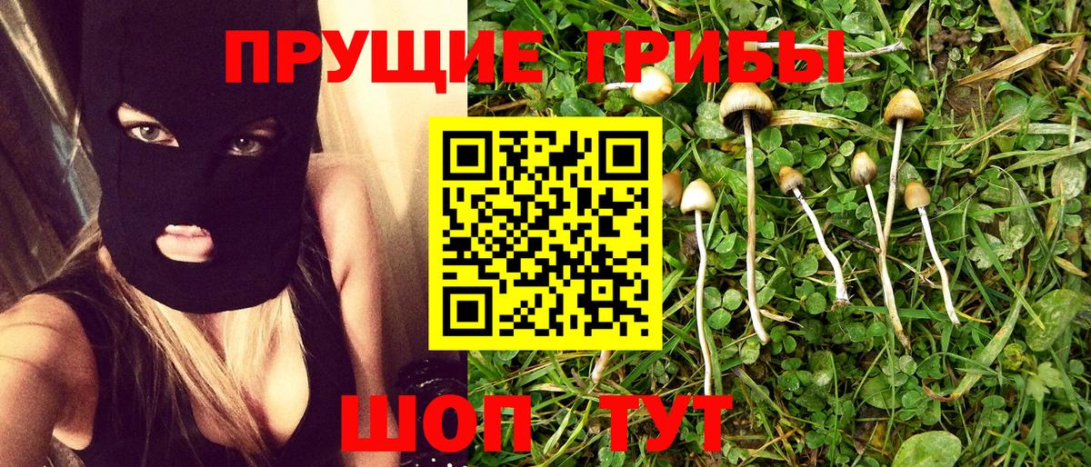 Галлюциногенные грибы Cubensis Кохма